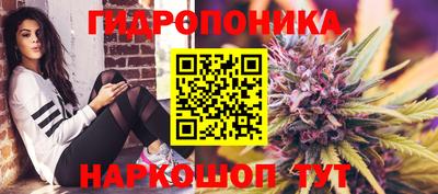 герыч Кингисепп