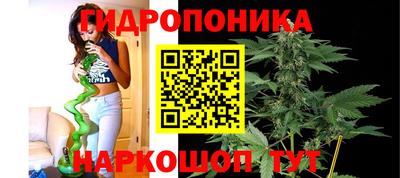 герыч Кингисепп