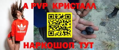 герыч Кингисепп