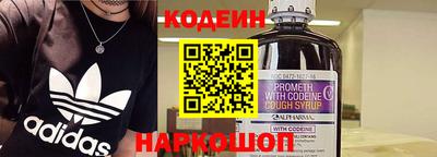 герыч Кингисепп